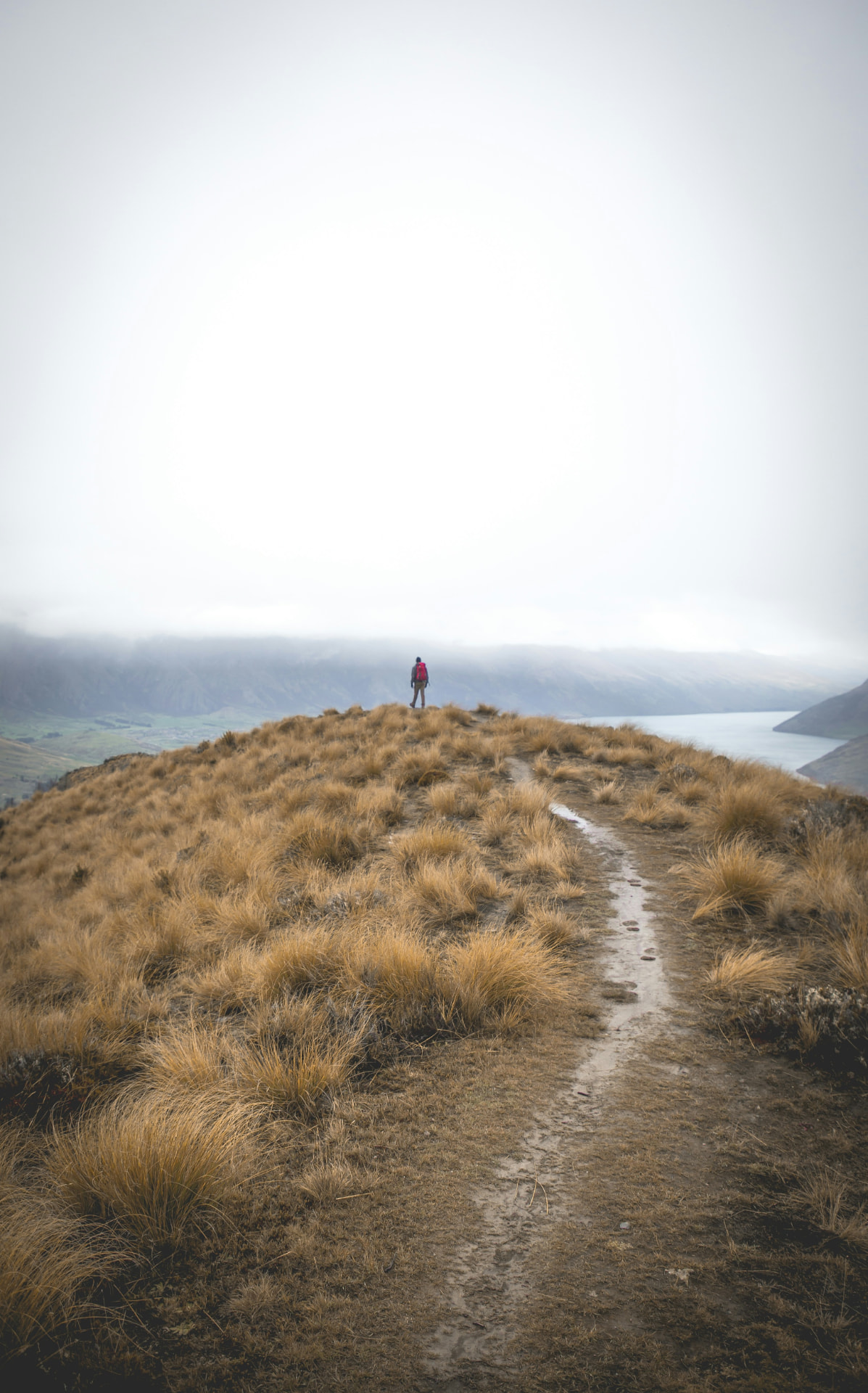 A hiker on a tussock-covered ridge with a lake and misty hills behind